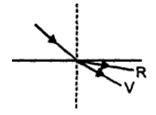 Option D
