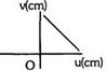 Option D