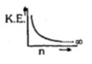Option C
