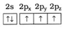 Option C