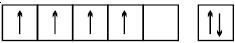 Option D