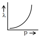 Option B