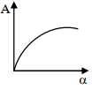 Option B