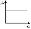 Option C