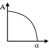 Option D