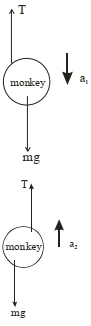 Solution diagram