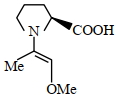 Option A