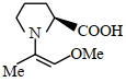 Option B