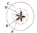 Question diagram