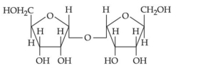 Option C