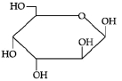 Option B
