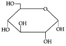 Option C