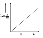 Option B