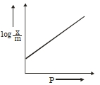 Option C