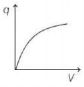 Option D