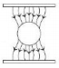 Option A