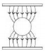 Option B