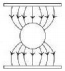 Option C