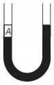 Option B