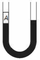 Option C