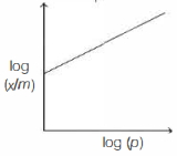 Option C