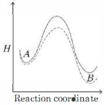 Option B