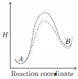 Option C