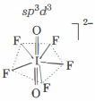 Option D