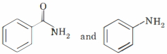 Option B