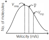 Option B