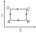 Option C