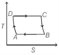 Option D