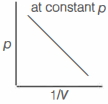 Option B