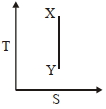 Option B
