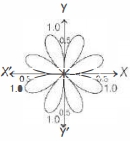 Option C