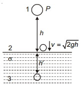 Solution diagram