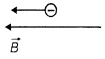 Option C