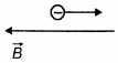 Option D