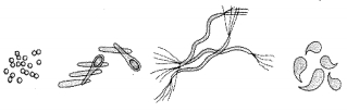 Question diagram