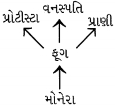 Option A