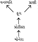 Option B