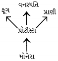 Option C