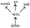 Option D