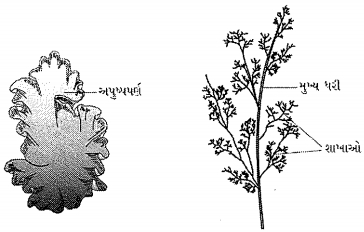 Question diagram