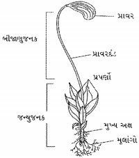 Question diagram