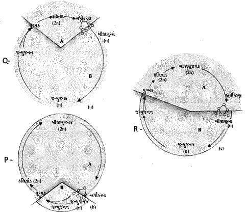 Question diagram