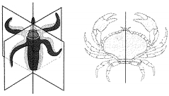 Question diagram