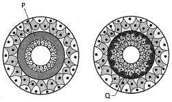 Question diagram