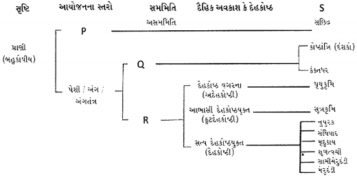 Question diagram