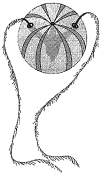 Question diagram